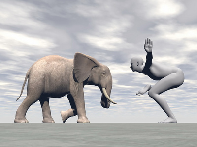 瑜伽大象3d 渲染