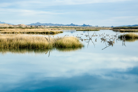 莫哈韦沙漠湿地