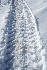 在雪上卡车跟踪