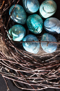 蓝蛋在巢