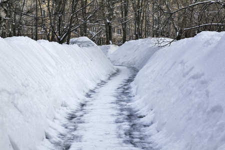 在雪中径