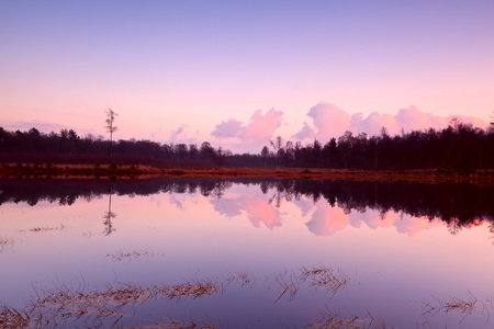 在 dwingelderveld 中湖平静日落