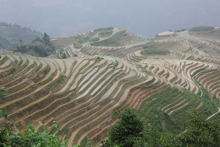 龙脊梯田中国