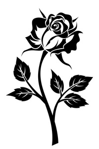   干玫瑰的黑色剪影。矢量插画