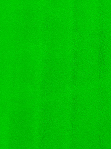 绿地毯绿色的地毯图案照片