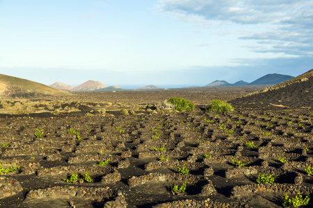 阿尔及利亚具有里程碑意义图片
