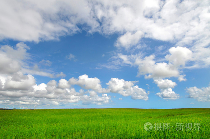 绿色的田野