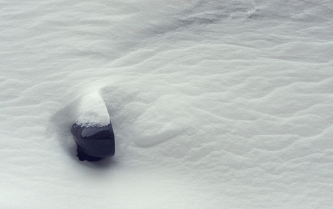 雪覆盖着的车