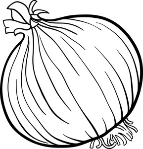 洋葱蔬菜卡通的图画书图片