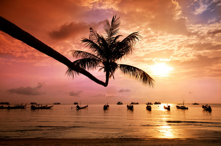 夕阳与棕榈和热带海滩上的船