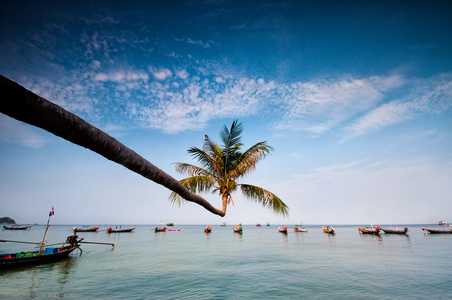 棕榈和船上热带海滩，泰国