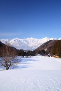 在冬天的白马村