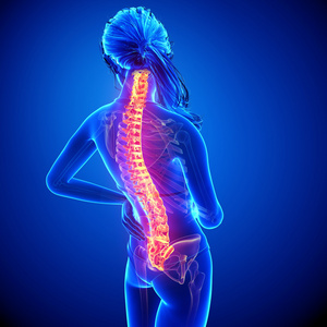 用蓝色突出显示脊髓损伤人体脊柱疼痛的插图
