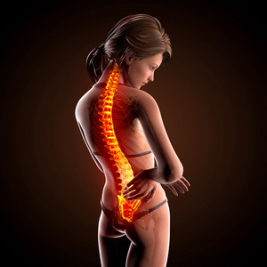 突出显示脊髓人体脊柱疼痛的插图