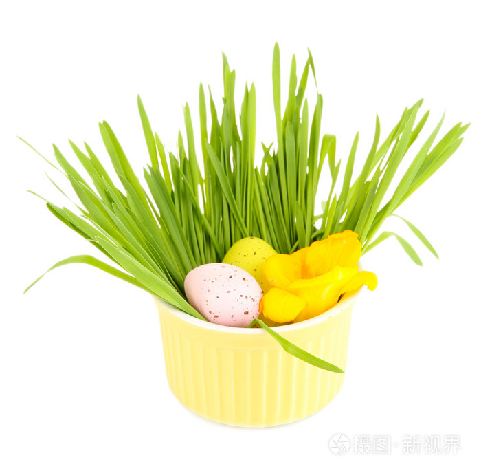 复活节彩蛋与草隔离在白色的桌上的碗里