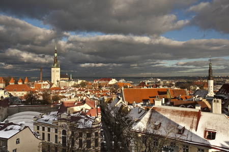 塔林旧镇的视图。爱沙尼亚