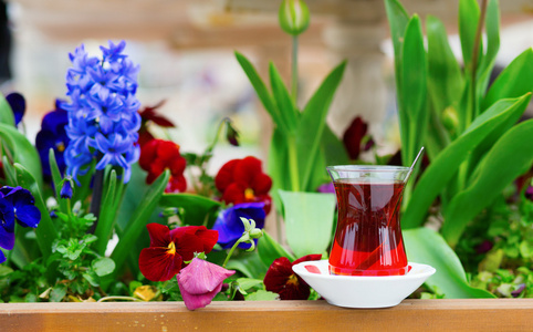 红茶花素材图片 红茶花图片素材下载 摄图新视界