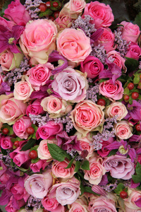 紫色 粉色玫瑰婚礼安排