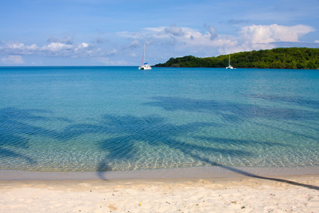 热带海滩