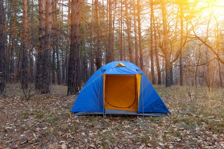 在一片森林中的蓝色旅游帐篷
