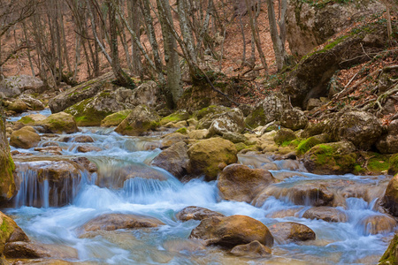 对山区河流水栅