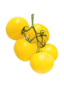 在白色背景上孤立的成熟黄色番茄