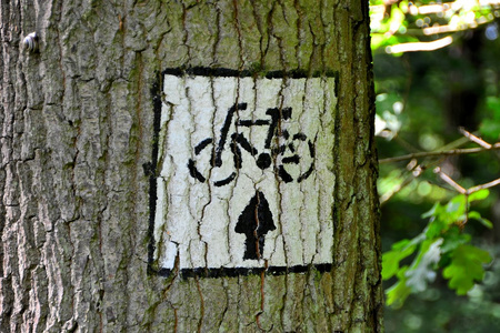 一棵树上的自行车路径的符号