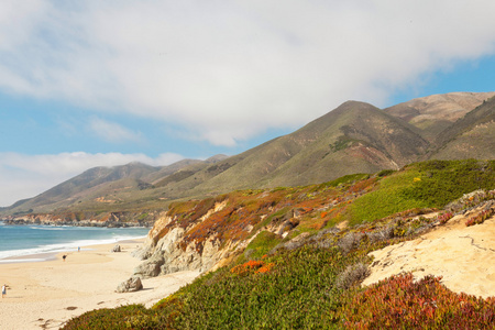 海岸的大瑟尔与岩石和植被。加利福尼亚州。美国