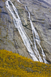 jostedalsbreen melkevollbreen 冰川附近景观国家 p