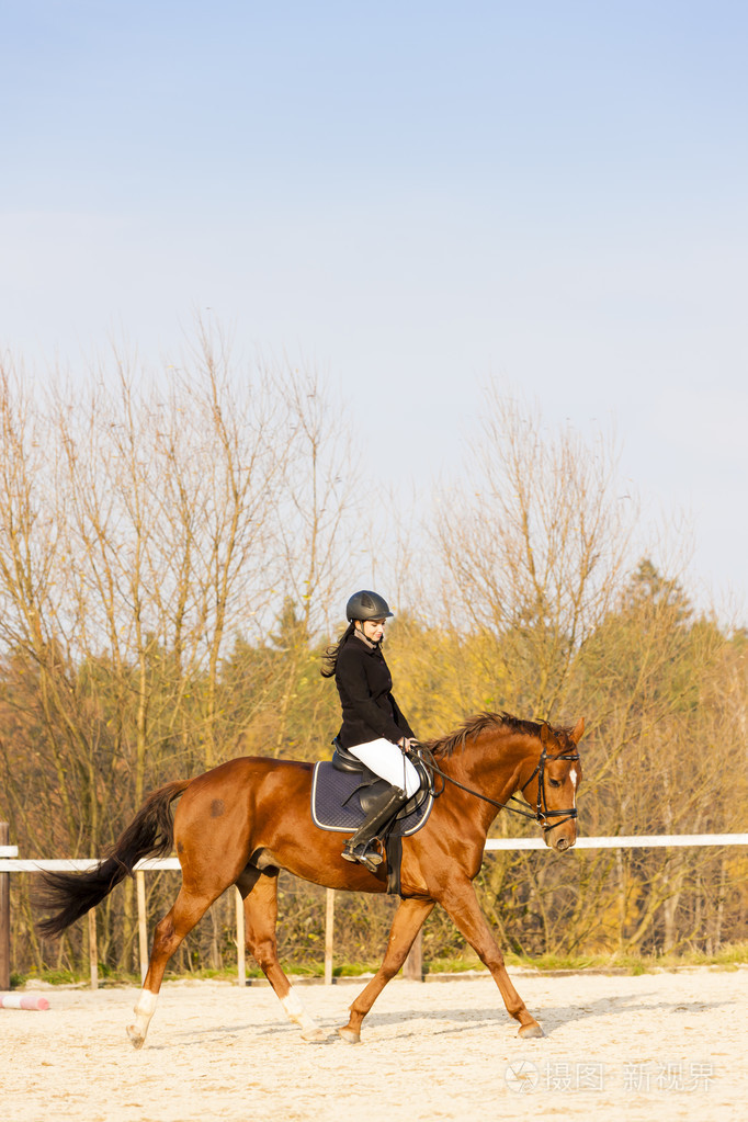 骑马马术照片-正版商用图片1bzepj-摄图新视界