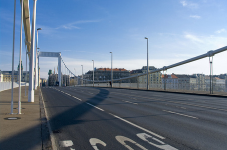 伊丽莎白大桥横跨在布达佩斯的多瑙河