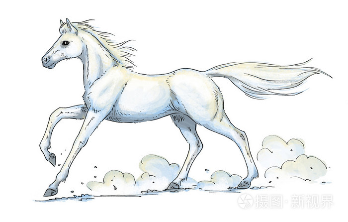 白马驰骋