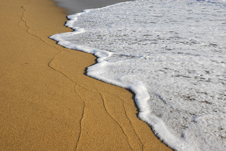 在海滩上的沙子中的行