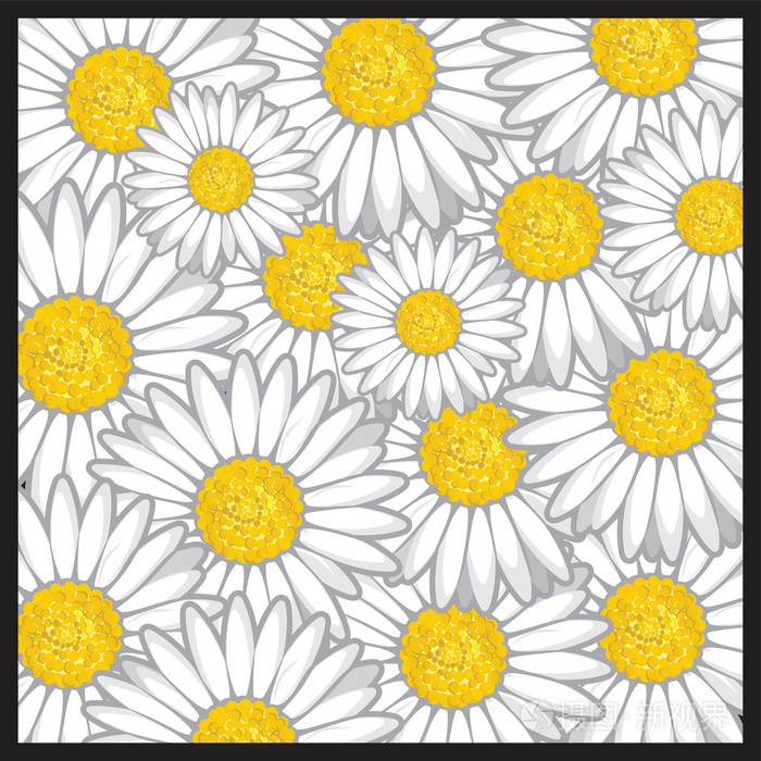 雏菊花图案