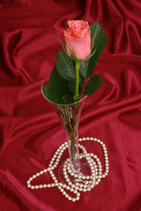 珍珠心和粉红玫瑰花瓣