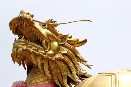 焦点硬的金色巨龙照片