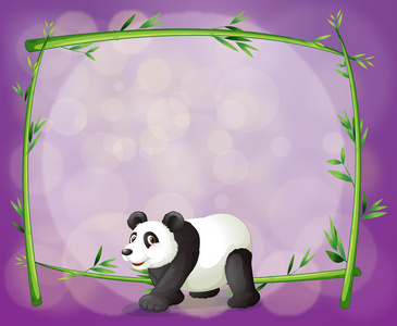 一只大熊猫在竹架图片