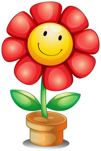 罐内的一朵花照片