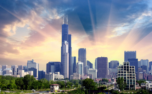 芝加哥。美丽的天际线与植被和摩天大楼