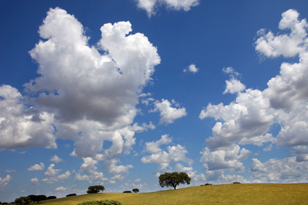 alentejo 农场