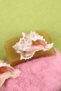 海盐 海贝壳和手工皂组成
