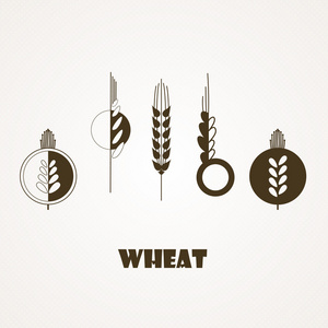小麦的耳朵图标集