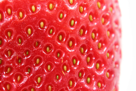 草莓作为背景的详细信息