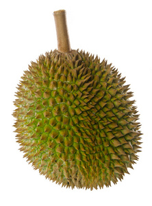 榴莲，水果东南亚地区背景上的国王
