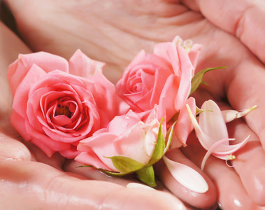 用鲜花和花瓣美丽女性手图片