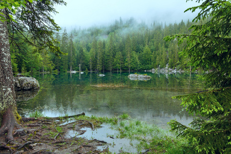 小山森林湖