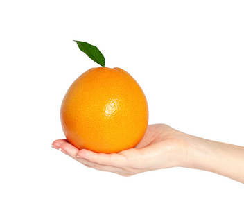 孤立的女人只手握住一个橙色或绿色 le 西柚葡萄柚