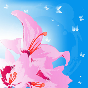 美丽的粉红色百合在蓝色抽象 background.holiday card.vector