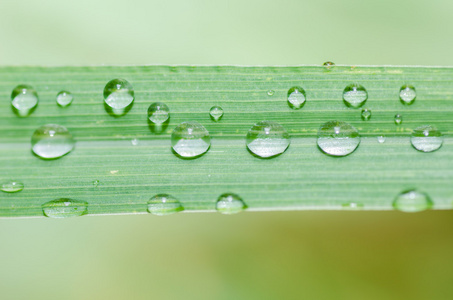 水滴