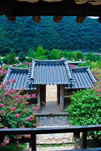 韩国的夏季。在森林里寺